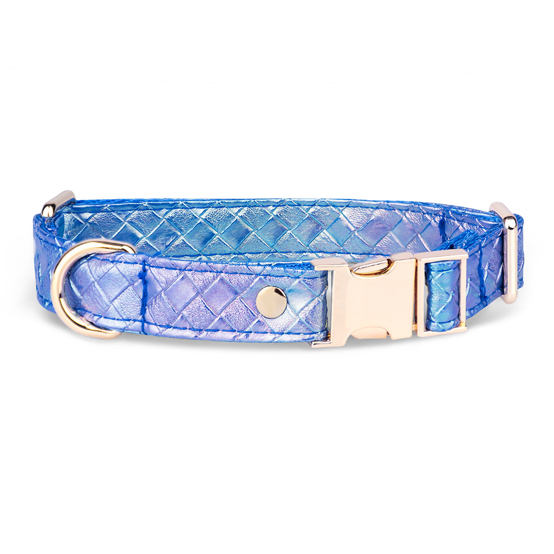Promoción de Lanzamiento Pechera + Correa / 1 Collar de regalo - Azul
