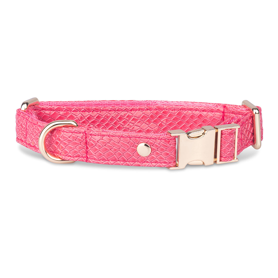 Promoción de Lanzamiento Pechera + Correa / 1 Collar de regalo - Fucsia