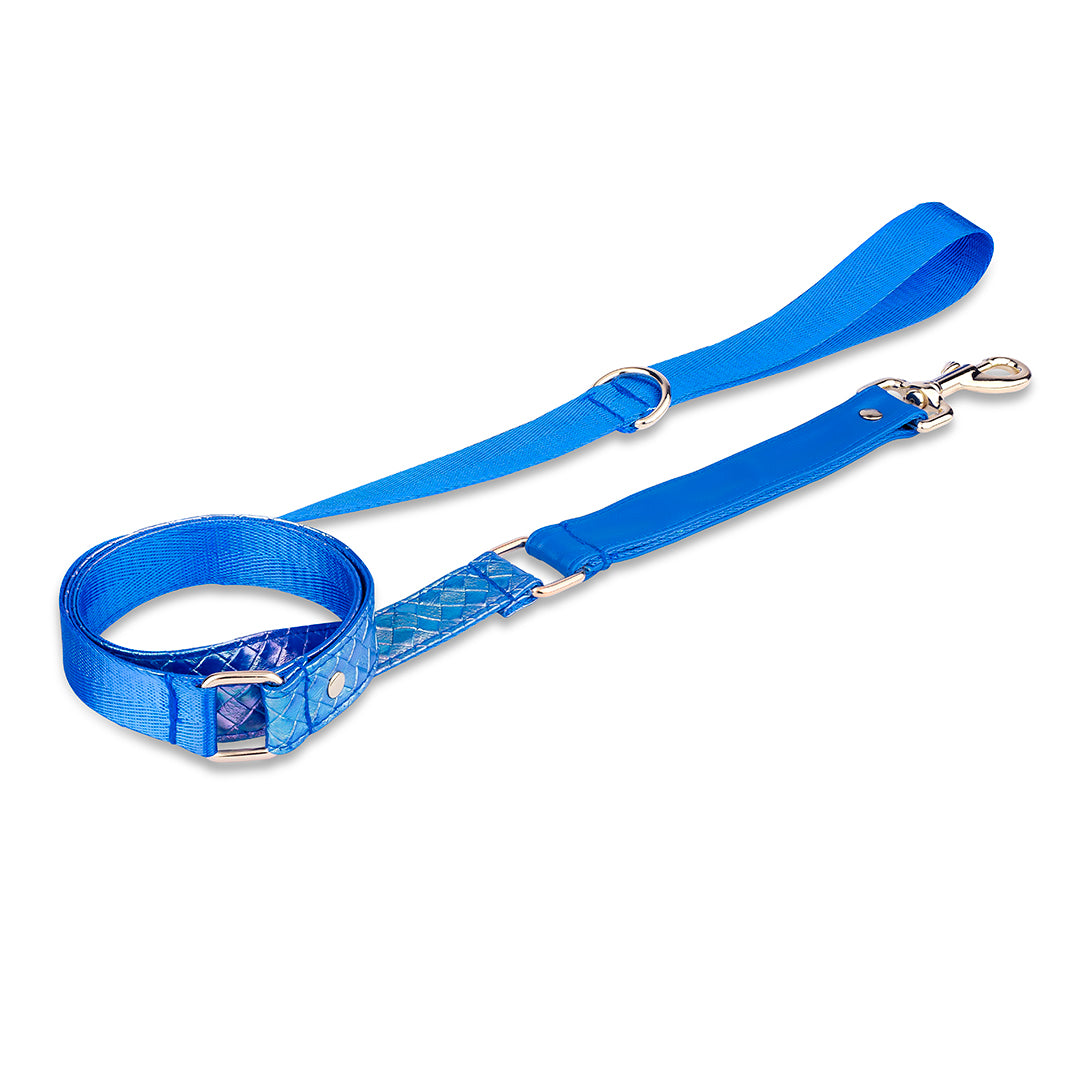 Promoción de Lanzamiento Pechera + Correa / 1 Collar de regalo - Azul