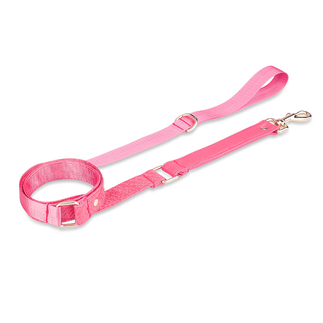 Promoción de Lanzamiento Pechera + Correa / 1 Collar de regalo - Fucsia