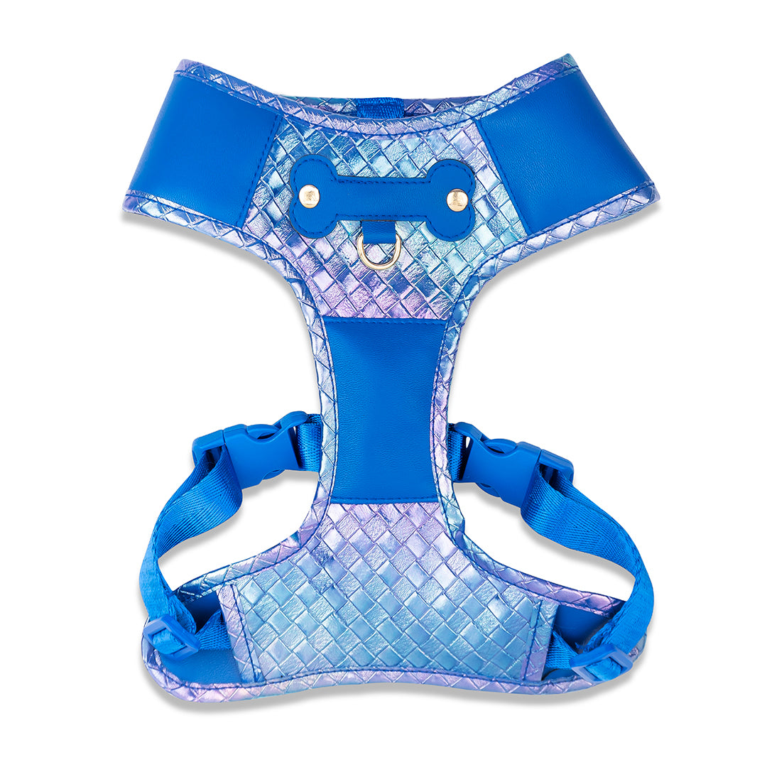 Promoción de Lanzamiento Pechera + Correa / 1 Collar de regalo - Azul