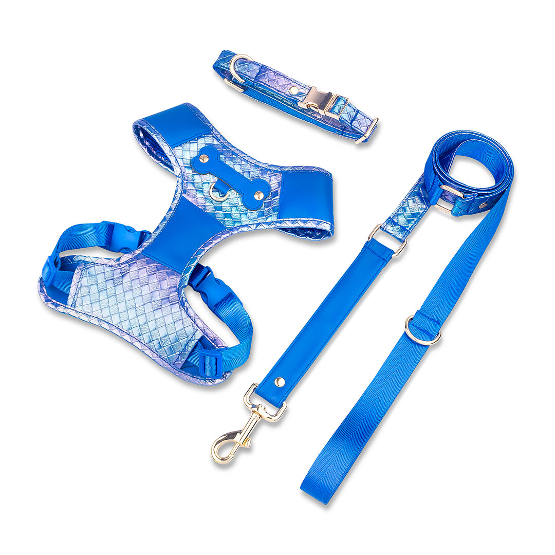 Promoción de Lanzamiento Pechera + Correa / 1 Collar de regalo - Azul