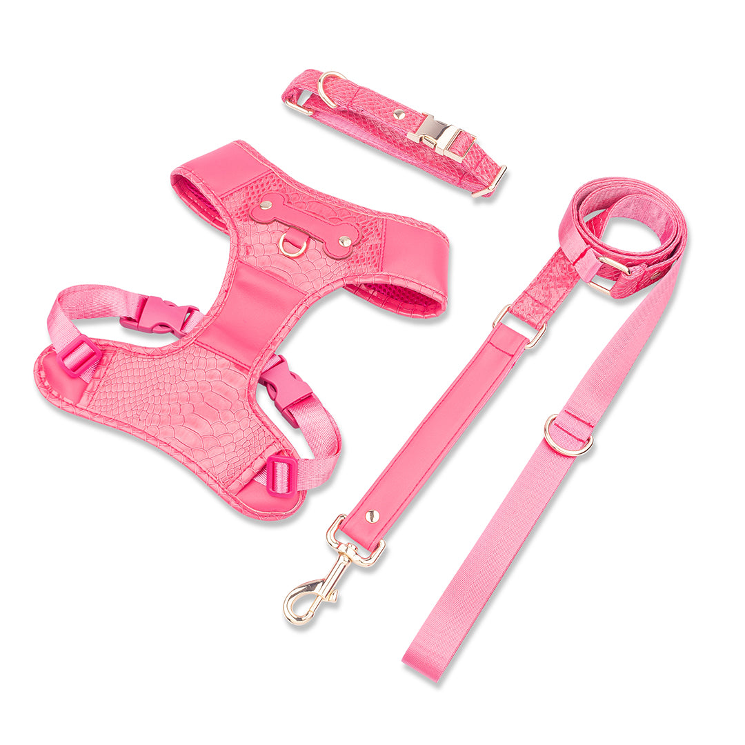 Promoción de Lanzamiento Pechera + Correa / 1 Collar de regalo - Fucsia