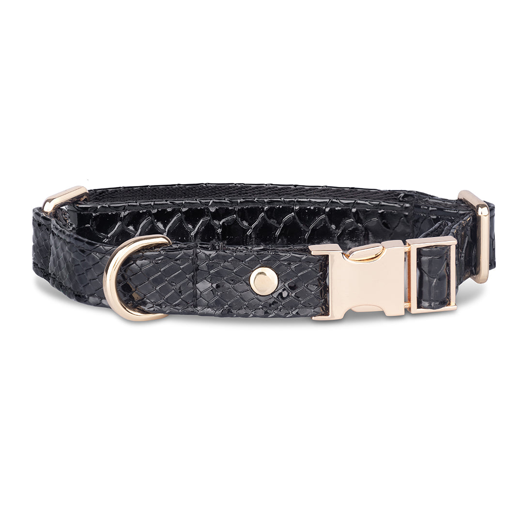 Promoción de Lanzamiento Pechera + Correa / 1 Collar de regalo - Negro