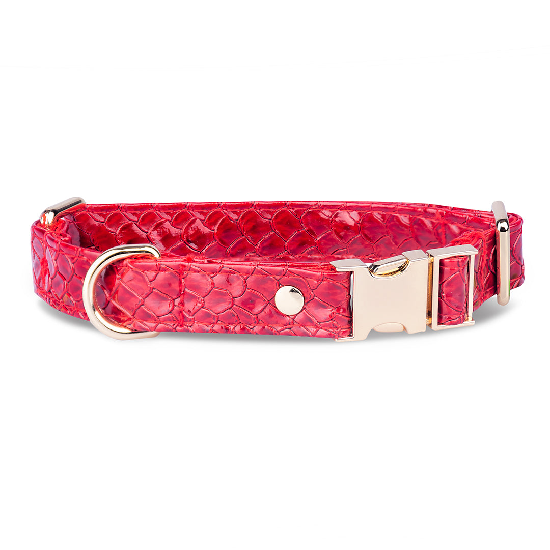 Promoción de Lanzamiento Pechera + Correa / 1 Collar de regalo - Rojo
