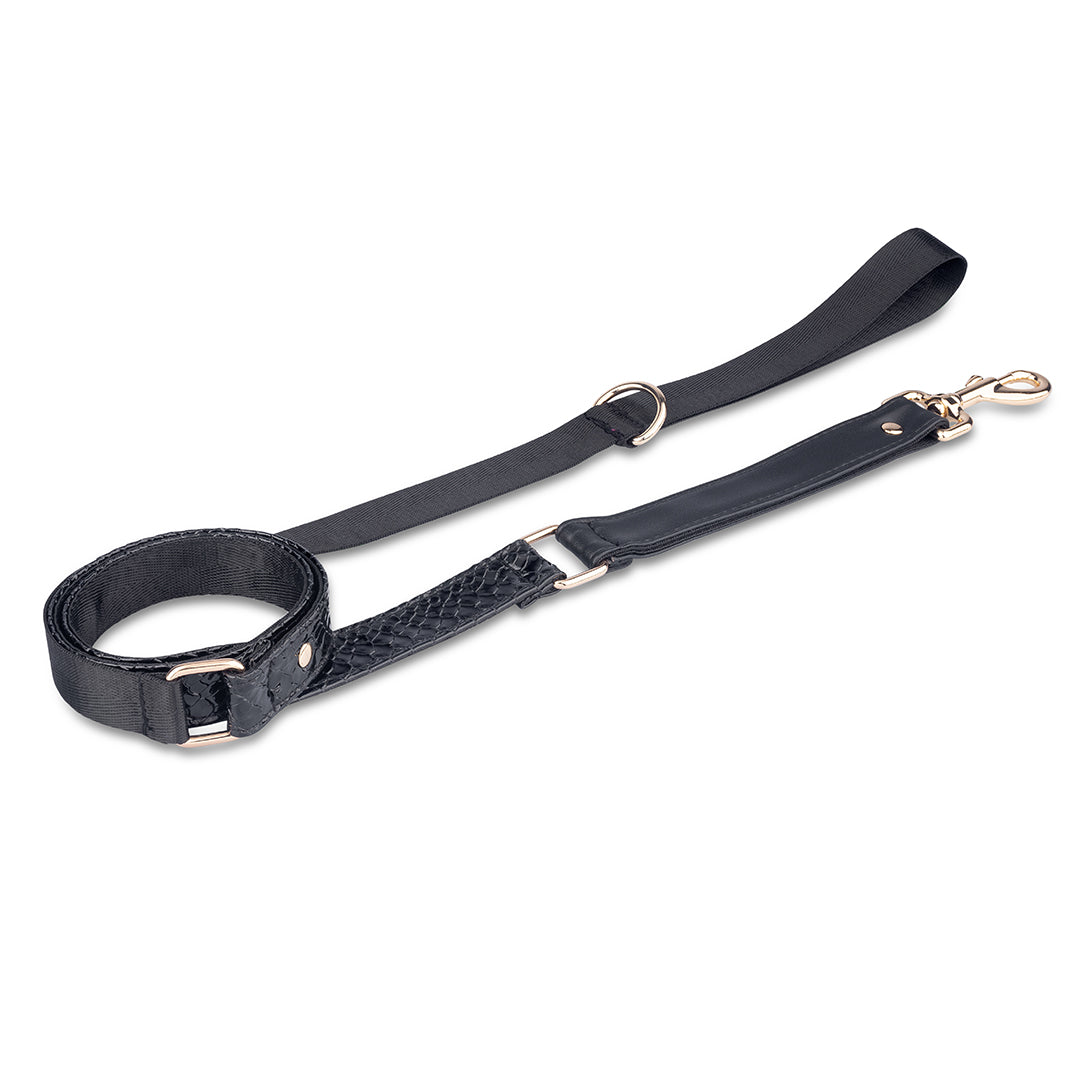 Promoción de Lanzamiento Pechera + Correa / 1 Collar de regalo - Negro
