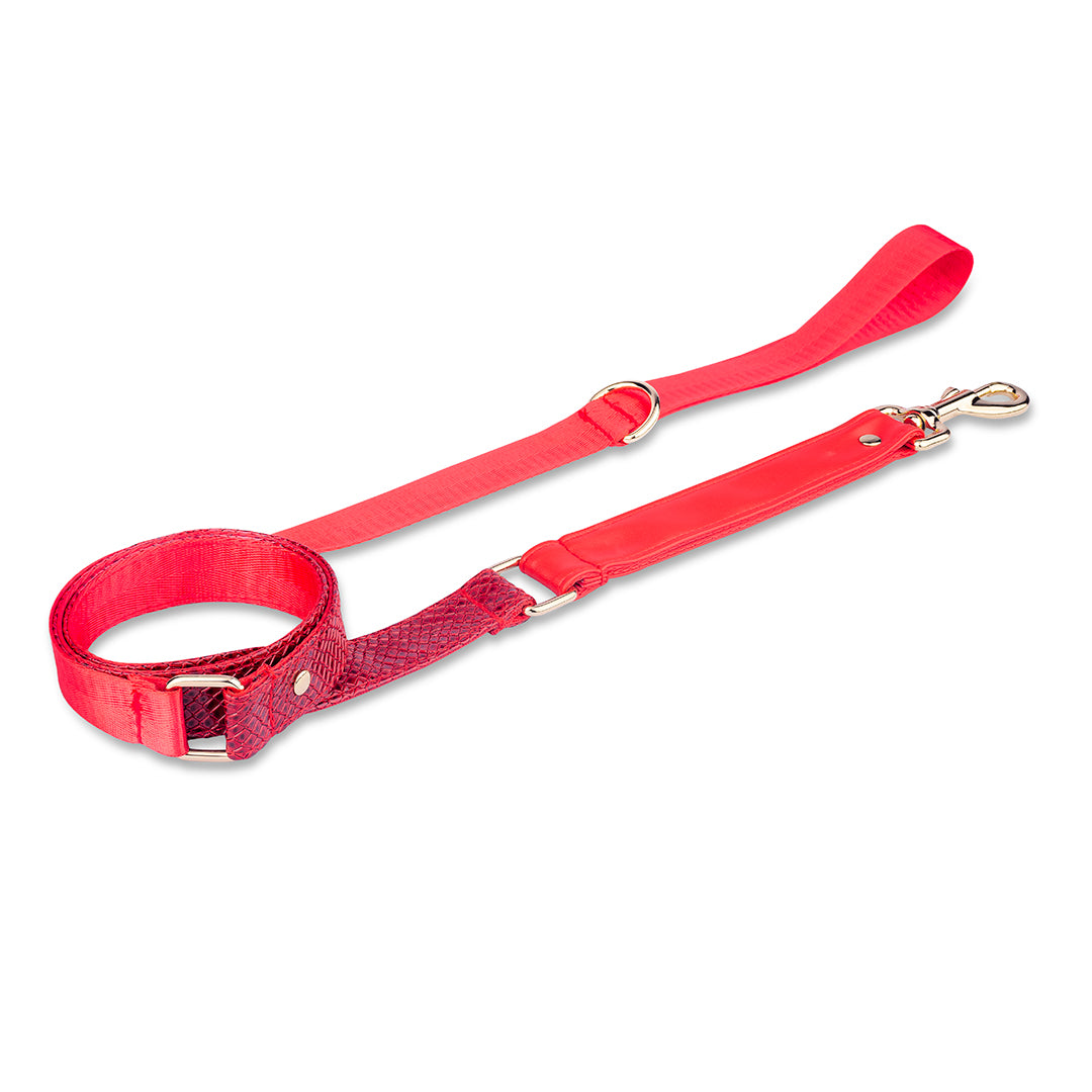Promoción de Lanzamiento Pechera + Correa / 1 Collar de regalo - Rojo