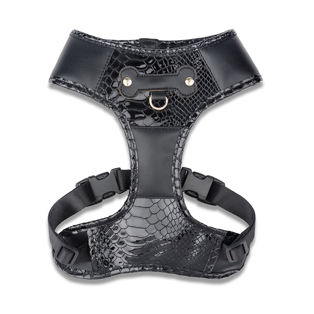Promoción de Lanzamiento Pechera + Correa / 1 Collar de regalo - Negro