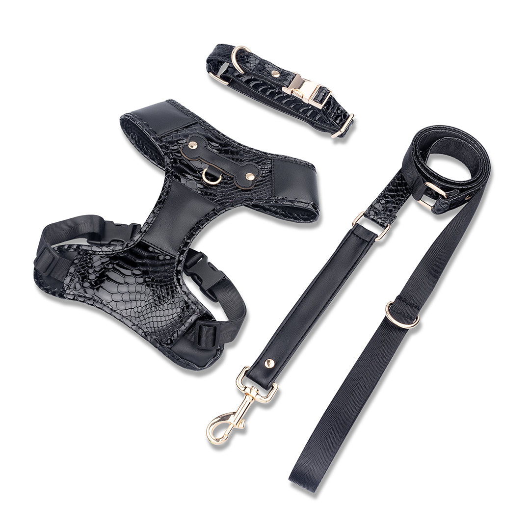 Promoción de Lanzamiento Pechera + Correa / 1 Collar de regalo - Negro