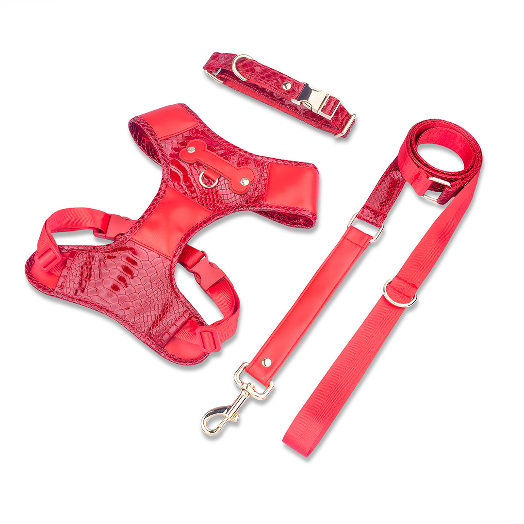 Promoción de Lanzamiento Pechera + Correa / 1 Collar de regalo - Rojo