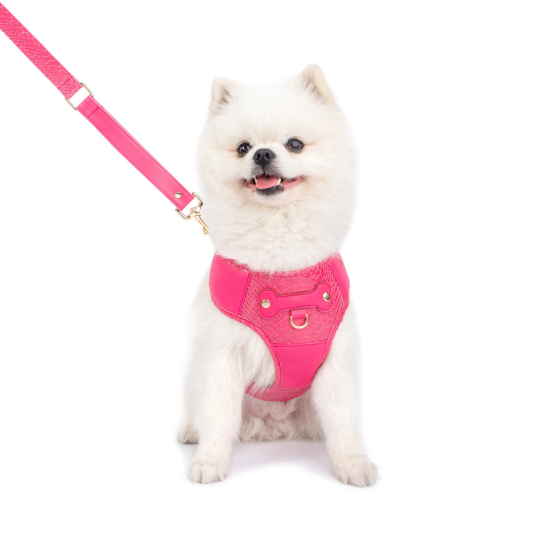 Promoción de Lanzamiento Pechera + Correa / 1 Collar de regalo - Fucsia