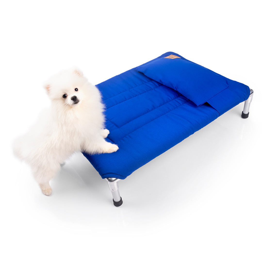 🌟🐶 CAMA PREMIUM TIPO HAMACA - AZUL 💙