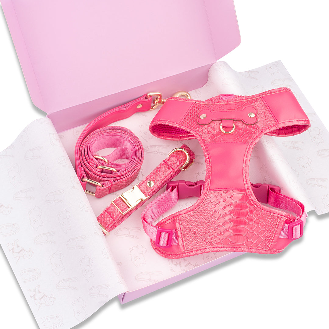 Promoción de Lanzamiento Pechera + Correa / 1 Collar de regalo - Fucsia
