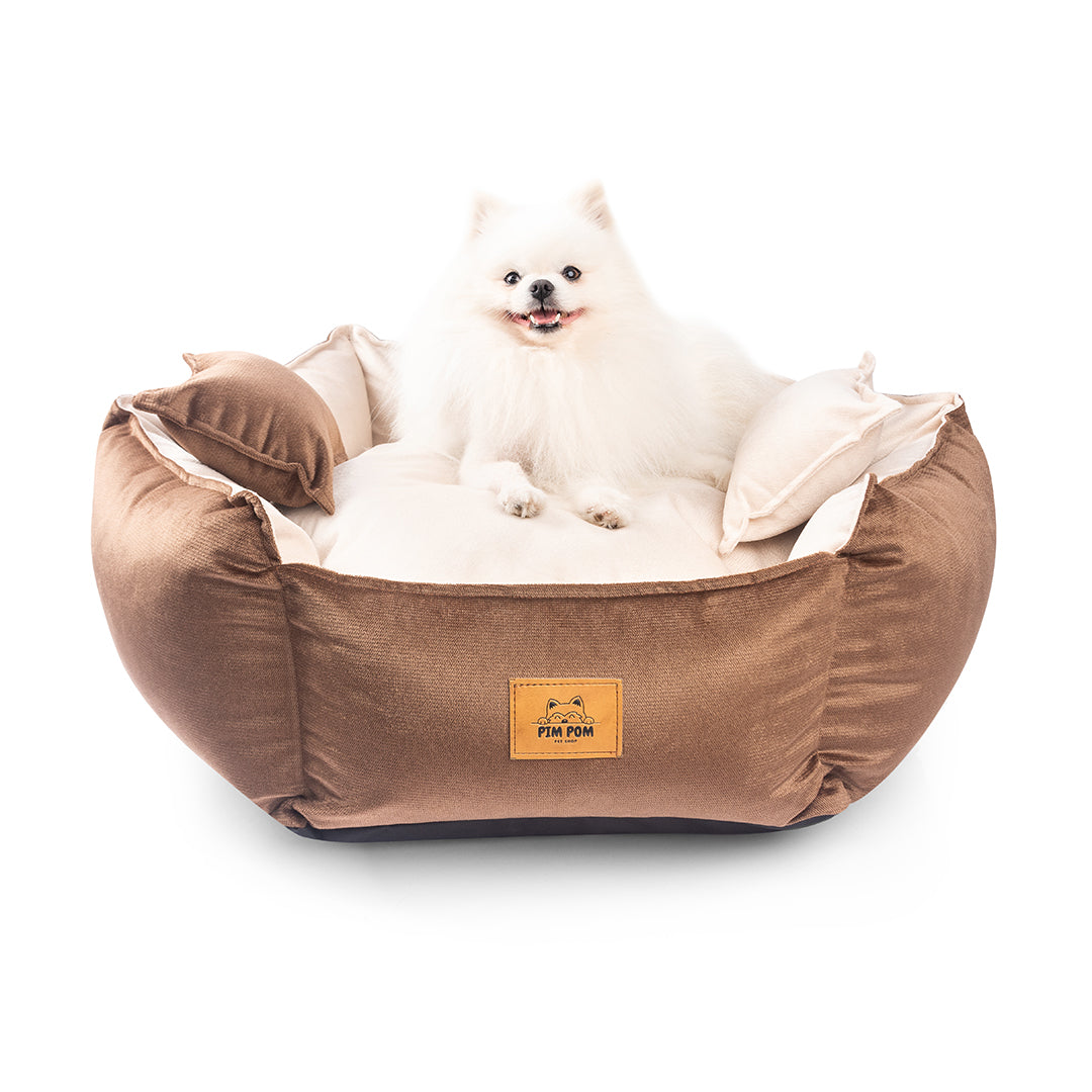 CAMA PREMIUM HEXAGONAL PARA PERRO DE FÁCIL LAVADO 🐾
