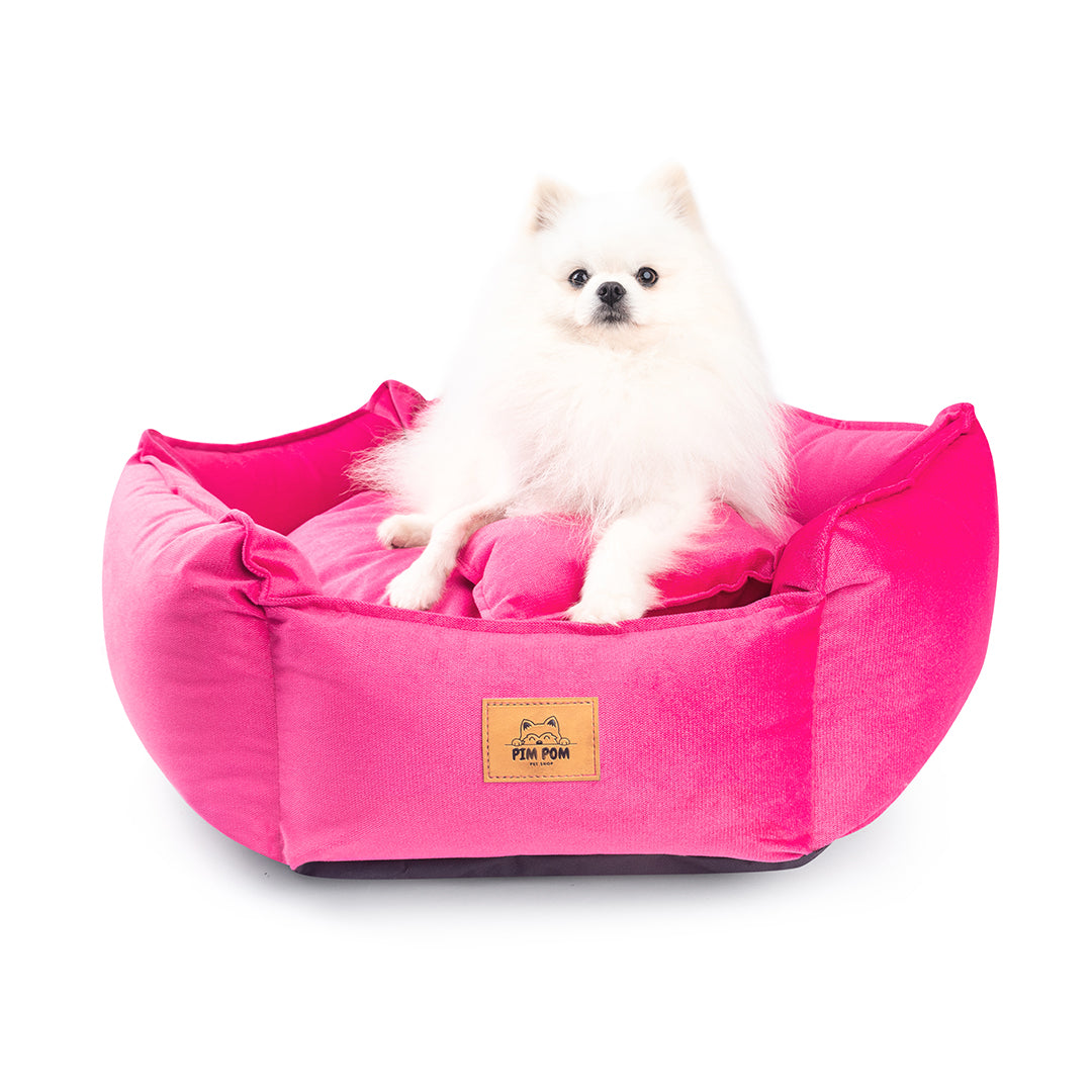 CAMA PREMIUM HEXAGONAL PARA PERRO DE FÁCIL LAVADO 🐾
