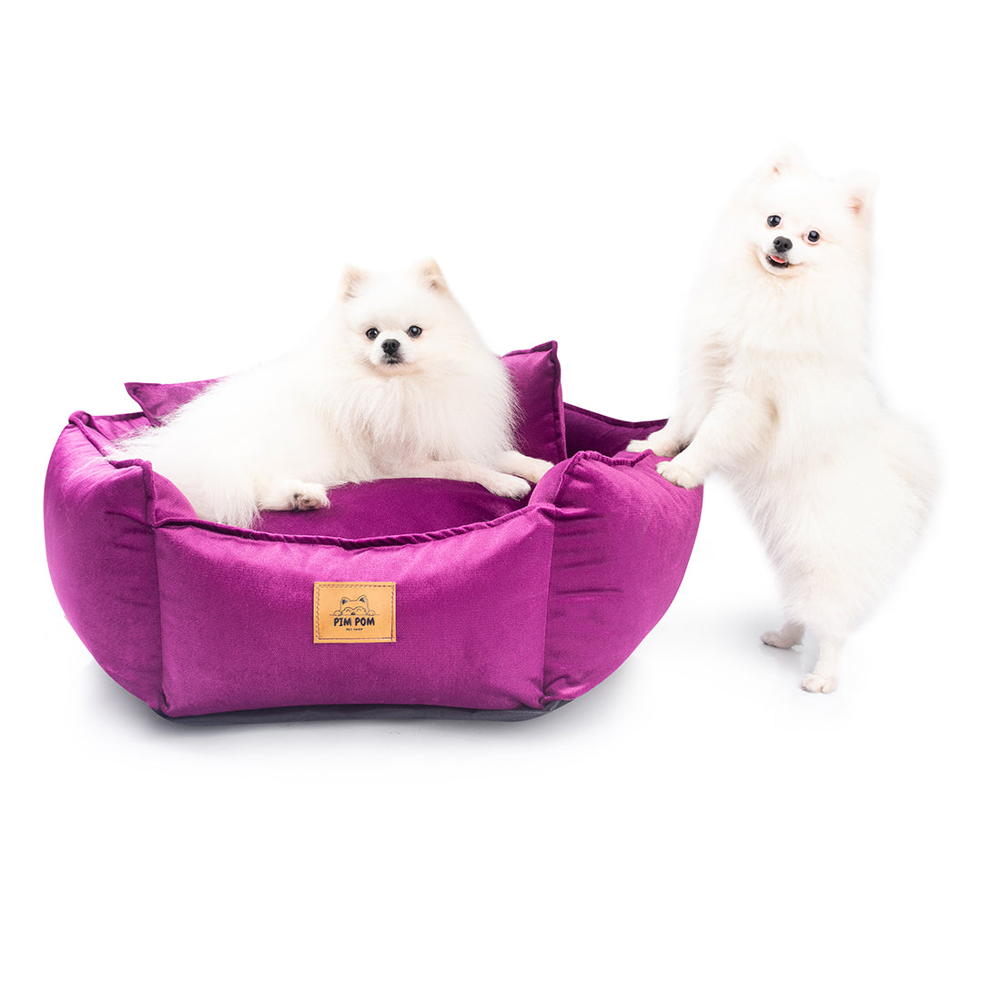 CAMA PREMIUM HEXAGONAL PARA PERRO DE FÁCIL LAVADO 🐾