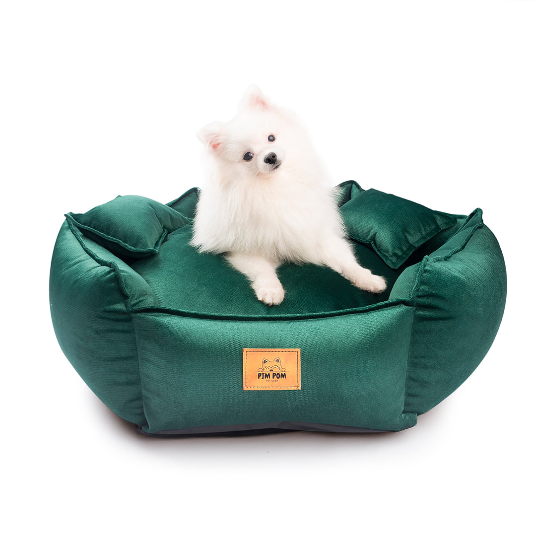 CAMA PREMIUM HEXAGONAL COLOR VERDE PARA PERRO DE FÁCIL LAVADO