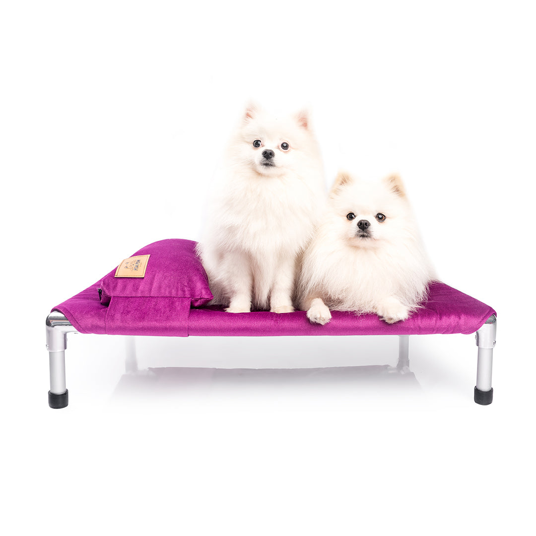 NUEVA COLECCIÓN TAPIZ❄️🐶 CAMA PREMIUM TIPO HAMACA - MORADO