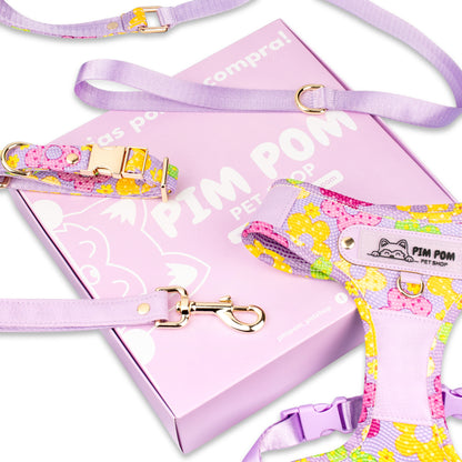 Set Premium Pechera + Correa – ¡Collar de Regalo! - Lila
