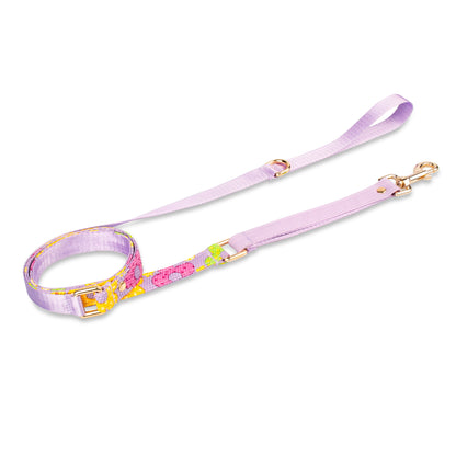 Set Premium Pechera + Correa – ¡Collar de Regalo! - Lila