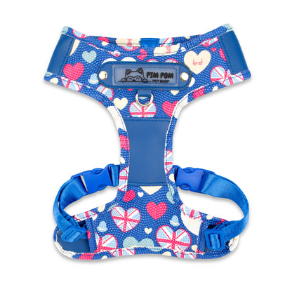 Set Premium Pechera + Correa – ¡Collar de Regalo! - Azul