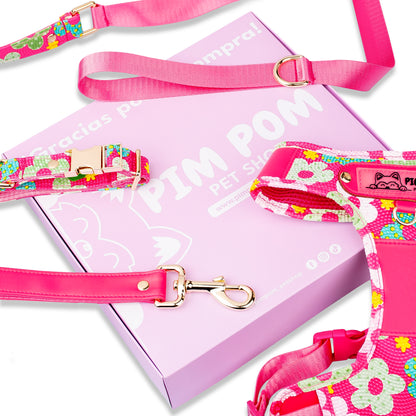 Set Premium Pechera + Correa – ¡Collar de Regalo!