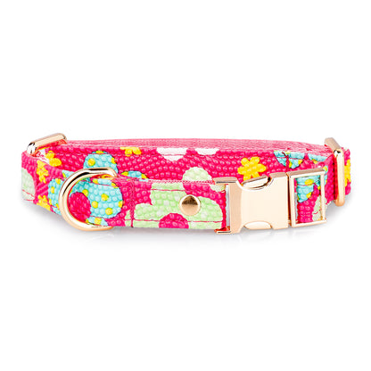 Collar Premium para mascotas 🐾