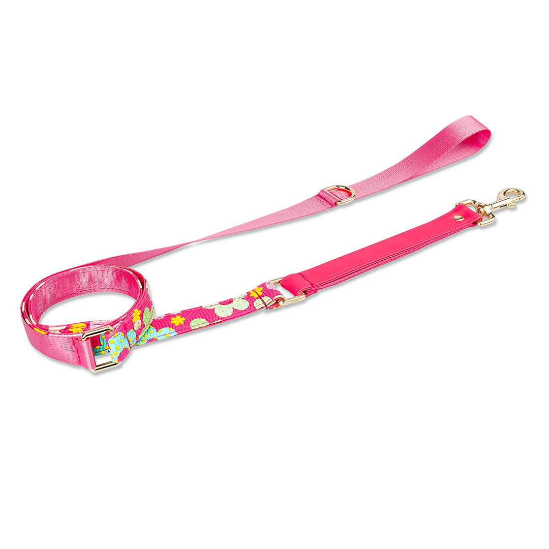 Set Premium Pechera + Correa – ¡Collar de Regalo!