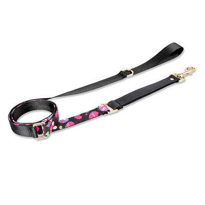 Set Premium Pechera + Correa – ¡Collar de Regalo! - Negro