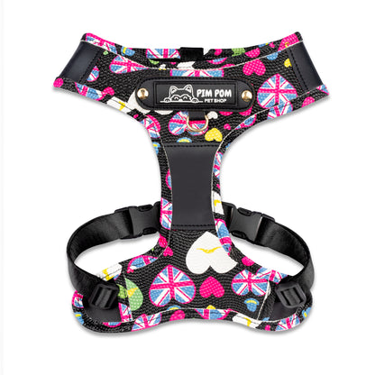 Set Premium Pechera + Correa – ¡Collar de Regalo! - Negro