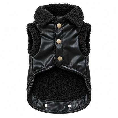 Chaqueta Biker para Perro 🐶🖤
