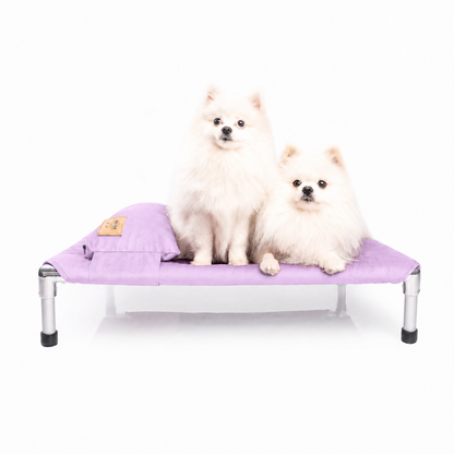 NUEVA COLECCIÓN TAPIZ❄️🐶 CAMA PREMIUM TIPO HAMACA