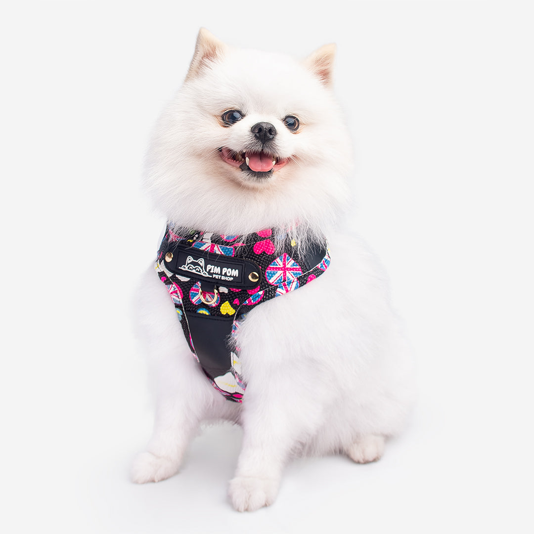 Pechera Premium para mascotas 🐾