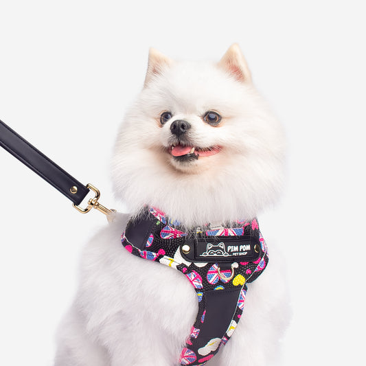 Set Premium Pechera + Correa – ¡Collar de Regalo! - Negro