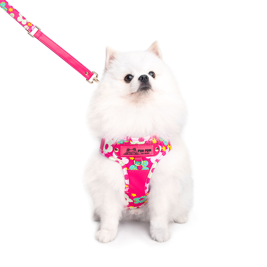 Set Premium Pechera + Correa – ¡Collar de Regalo!