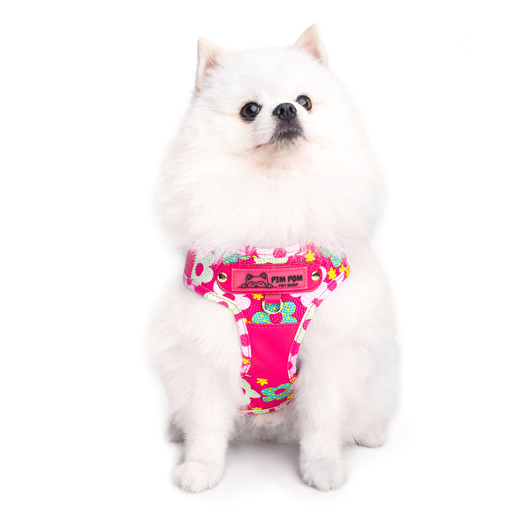 Pechera Premium para mascotas 🐾