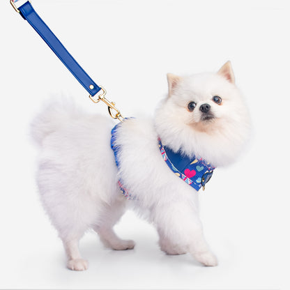 Set Premium Pechera + Correa – ¡Collar de Regalo! - Azul