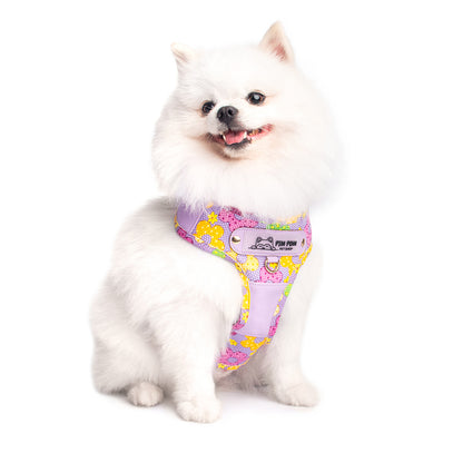 Pechera Premium para mascotas 🐾