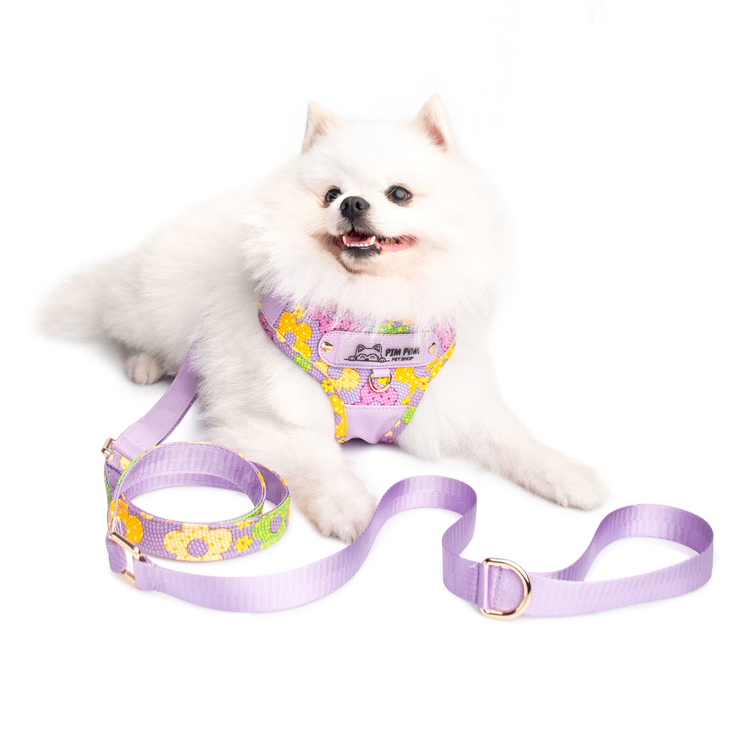 Set Premium Pechera + Correa – ¡Collar de Regalo! - Lila