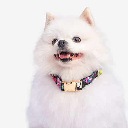 Collar Premium para mascotas 🐾