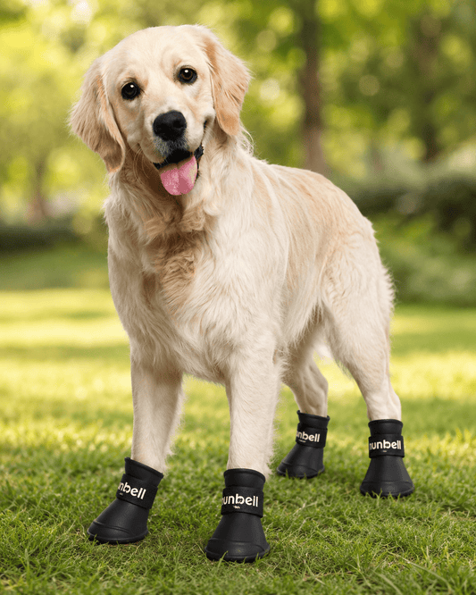 Zapatos Impermeables para perros 🐾🐶